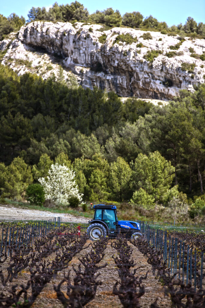 Champ de vignes au pied d’une colline rocheuse, avec un petit tracteur bleu travaillant les rangées. La scène est entourée de forêts de pins et d’un ciel dégagé